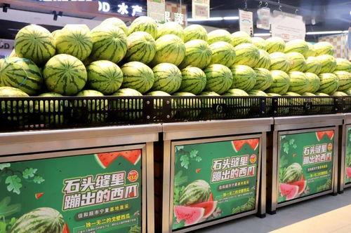 吃瓜每日大赛 必吃大瓜,必尝大瓜，畅享夏日狂欢